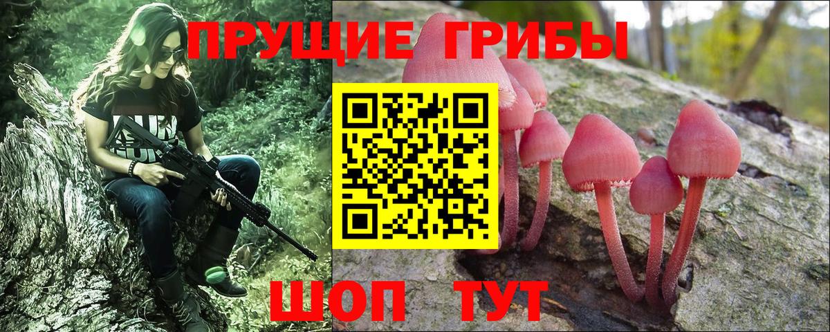 Галлюциногенные грибы Magic Shrooms  Вход с VPN  Псилоцибиновые грибы мухоморы  Сосновый Бор 
