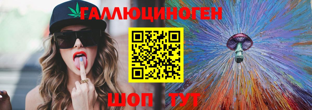 Псилоцибиновые грибы Cubensis Сосновый Бор
