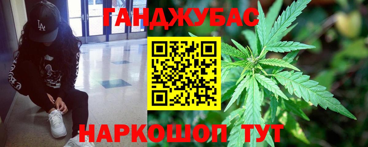 Бошки Шишки планчик  Канабис семена  Сосновый Бор  Вход с VPN  Конопля MAZAR  Бошки марихуана SATIVA & INDICA 